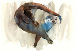 Nieznany tytuł autorstwa Mark Adlington