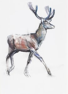 Velvet, 2006 (węgiel i conte na papierze) autorstwa Mark Adlington
