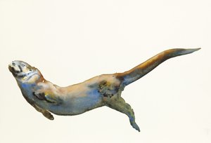 Aksamit, 2014, (akwarela na papierze) autorstwa Mark Adlington