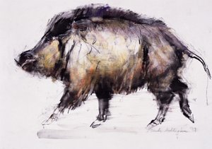 Dzik, 1999 (grafit, konterfekt i węgiel drzewny na papierze) autorstwa Mark Adlington