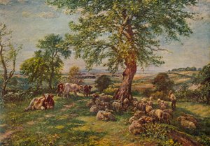 Hill i Dale, ok. 1900 1935