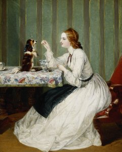 Darowizny otrzymane wdzięcznie, 1862