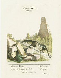  autorstwa Martin Elias Ridinger