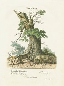  autorstwa Martin Elias Ridinger