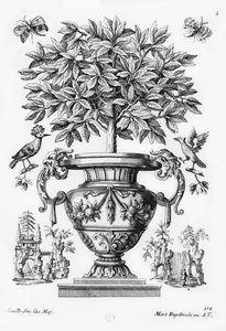 Drzewa cytrusowe, ok.1735 autorstwa Martin Engelbrecht