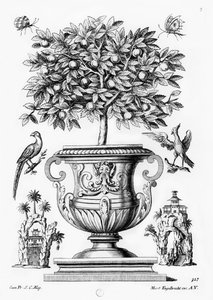Drzewa cytrusowe, ok.1735 autorstwa Martin Engelbrecht