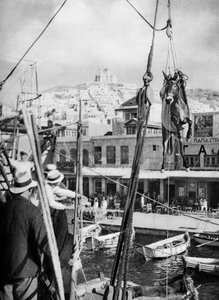Wysyłka mułów, wyspa Syros, Grecja, 1937. autorstwa Martin Hurlimann