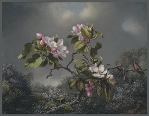 Kwiaty jabłoni i koliber, 1871 autorstwa Martin Johnson Heade