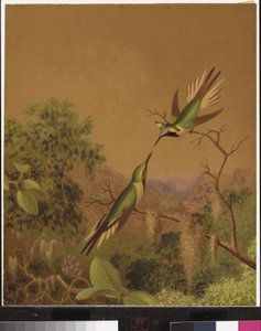 Kolibry brazylijskie IV autorstwa Martin Johnson Heade