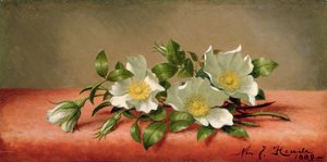 Róże Czirokezów, 1889 autorstwa Martin Johnson Heade