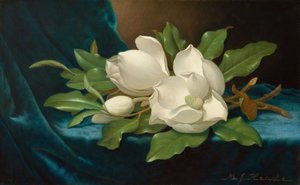  autorstwa Martin Johnson Heade