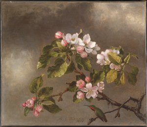  autorstwa Martin Johnson Heade