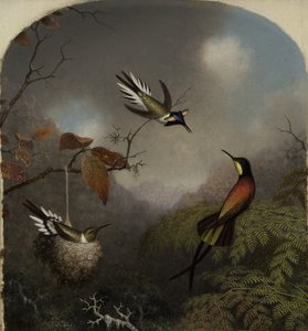 Kolibry: Dwa Sungemy i Karmazynowy Topaz, 1866 autorstwa Martin Johnson Heade