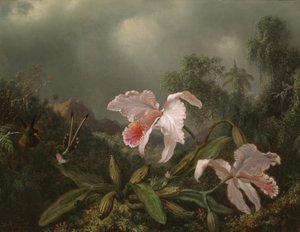 Storczyki i kolibry z dżungli, 1872 autorstwa Martin Johnson Heade