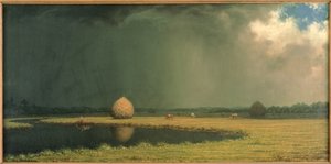 Siano z słonych bagien, ok. 1865 (olej na płótnie) autorstwa Martin Johnson Heade