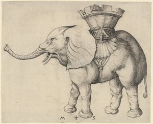 Słoń autorstwa Martin Schongauer