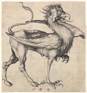 Gryf, ca. 1435-1491. autorstwa Martin Schongauer