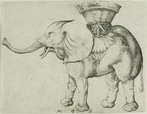 Słoń autorstwa Martin Schongauer