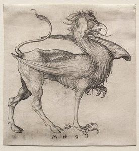 Gryf autorstwa Martin Schongauer