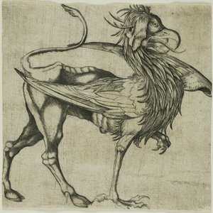 Gryf autorstwa Martin Schongauer