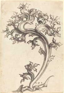 Ozdoba z ostu autorstwa Martin Schongauer