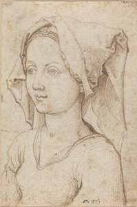 Młoda kobieta w szaliku autorstwa Martin Schongauer