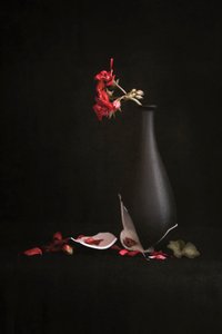  autorstwa Martine Benezech