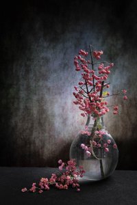  autorstwa Martine Benezech