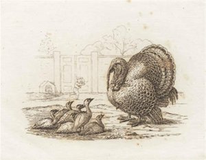 Ilustracja do „Pół setki bajek dla dzieci” autorstwa Hey autorstwa Martinus Rørbye