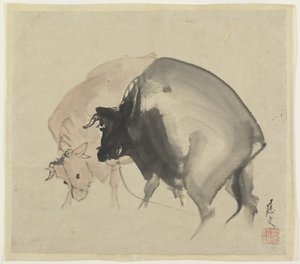 Dwa byki, ok. 1810 (atrament i kolory na papierze) autorstwa Maruyama Oju