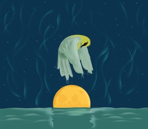 Night Swim, 2016 (wideo)