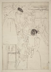 Zbiór owoców autorstwa Mary Cassatt