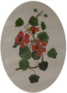 Nasturcje, ok. 1870 (olej na papierze) autorstwa Mary Dakeyne Townroe