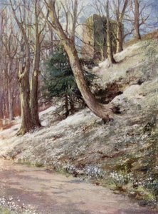 Szkockie Ogrody: Ardgowan (kolor lito)