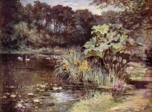Scottish Gardens: Culzean (kolor lito)