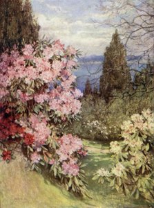 Szkockie ogrody: Stonefield autorstwa Mary Georgina Wade Wilson