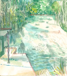 Staw damski, Hampstead Heath