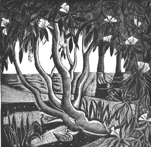Rododendrony, Holland Park, 2006 (grawerunek winylowy) autorstwa Mary Kuper