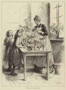 Ilustracja do Opowieści o pielęgniarce, autorstwa Honnora Mortena autorstwa Mary L. Gow