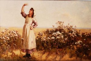 Puch ostu autorstwa Mary Louise Breakell