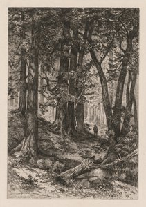 Wnętrze lasu kalifornijskiego według Thomasa Morana American, 1837-1926, 1888.