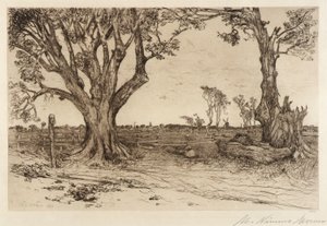 Stare Lipy - w pobliżu Easthampton autorstwa Mary Nimmo Moran