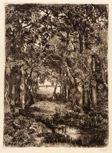Morze przez las autorstwa Mary Nimmo Moran