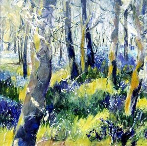 Bluebells i żółty