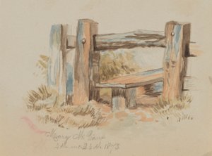 Stile bez tytułu, 1873. autorstwa Mary Vaux Walcott