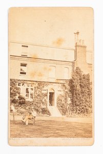 Carte de visite ze zdjęciem Gad