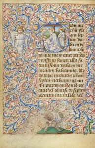 Inicjał D: Lament autorstwa Master of Jean Rolin II (Hand B)