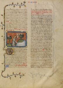 Stworzenie ptaków i ryb autorstwa Master of Jean de Mandeville