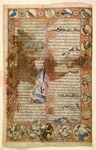 Dodać. 28841, f.1, Geometryczne całostronicowe obramowania rombów, rondli i czworolistków zamieszkanych przez zwierzęta i sceny figuratywne: Ptaki, gady i zwierzęta, w tym lwy napadające na inne stworzenia i ptaki walczące ze sobą, kogut, sowa, sna