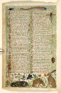 Dodać. 28841, f.6v: Króliki i owady, w tym gąsienica, ważka i ćma, z traktatu o cnotach i wadach oraz anonimowa historia prozy Sycylii (fragment), ok. 1330-40 (welum)